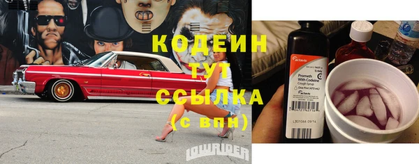крисы Карпинск