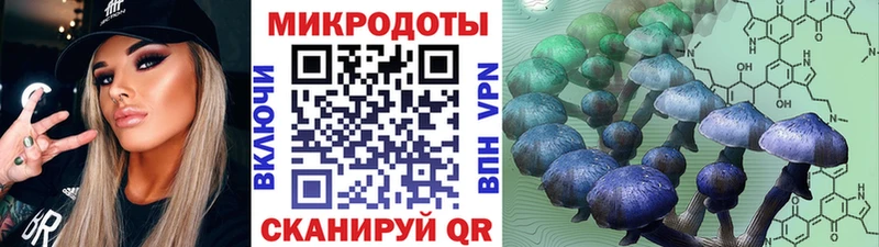 Псилоцибиновые грибы MAGIC MUSHROOMS  купить  сайты  Кольчугино 
